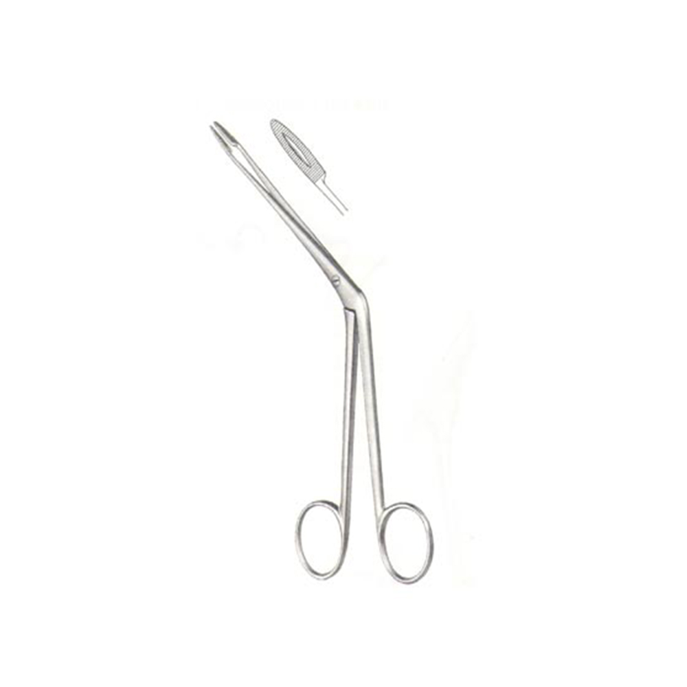 Sponge Forceps