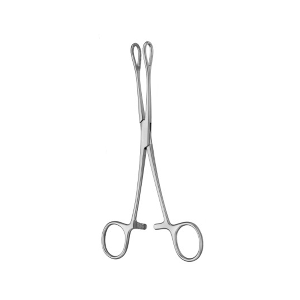 Sponge Forceps