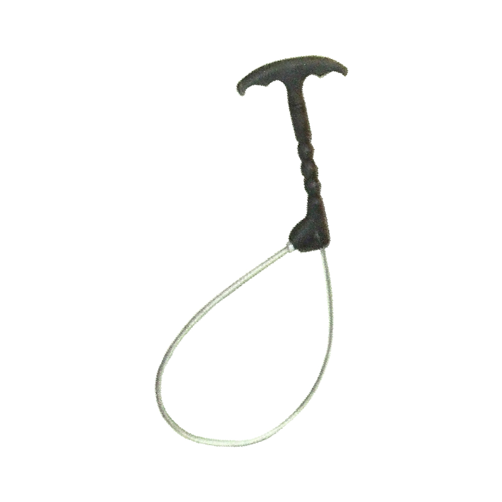 Snare Pool Catcher